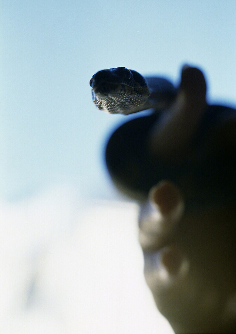 Snake being held, blurry.