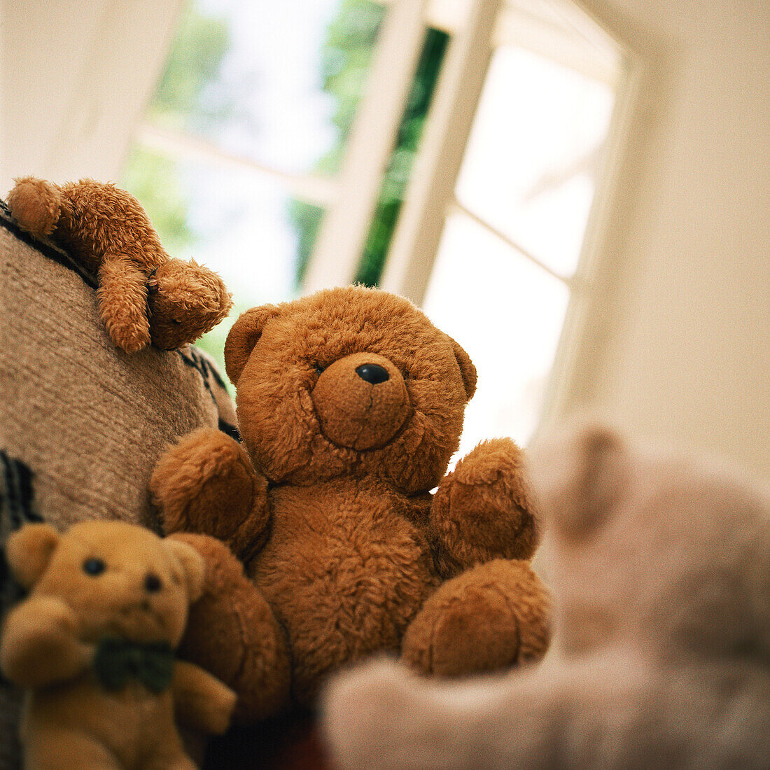 Group of teddy bears sitting near window