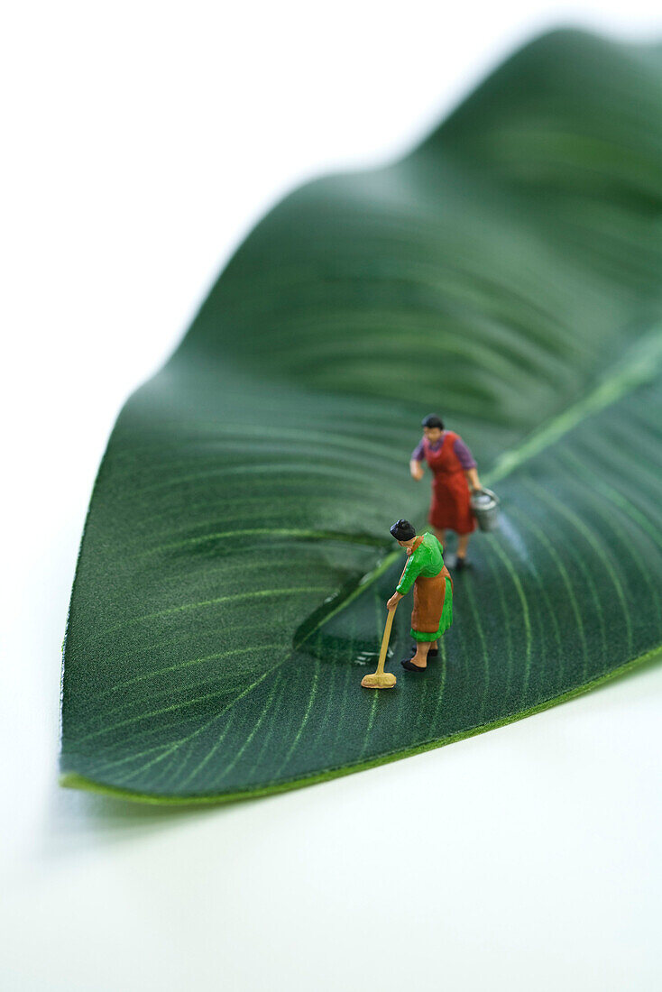 Miniature women mopping puddle on leaf