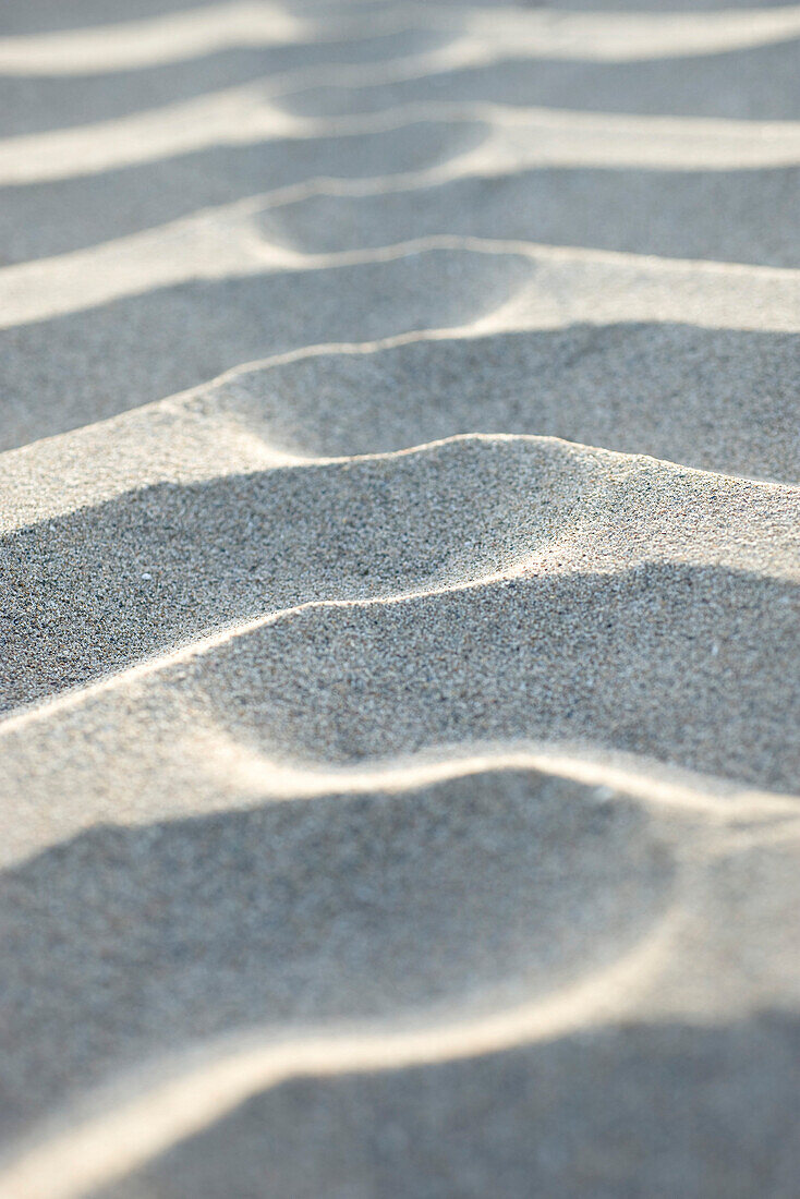 Rippled pattern on sand