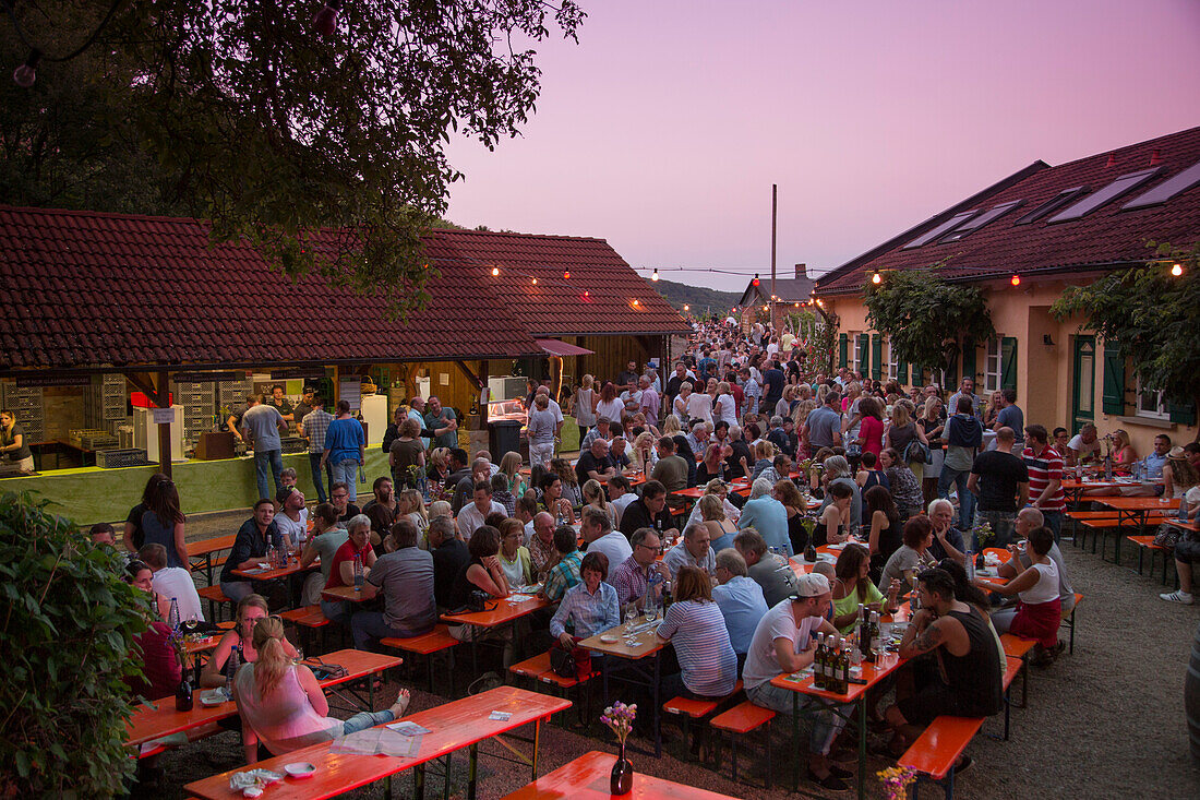 People sitting outside Dahms winery during a Weinfest an der Peterstirn, Schweinfurt, Franconia, Bavaria, Germany