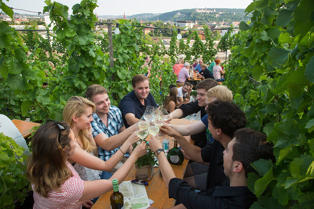 Weinfest an einem lauen Sommerabend: Eine Gruppe junger Menschen sitzen inmitten von Weinreben und stoßen mit Weingläsern an, beim Hoffest im Weingut am Stein, Würzburg, Franken, Bayern, Deutschland