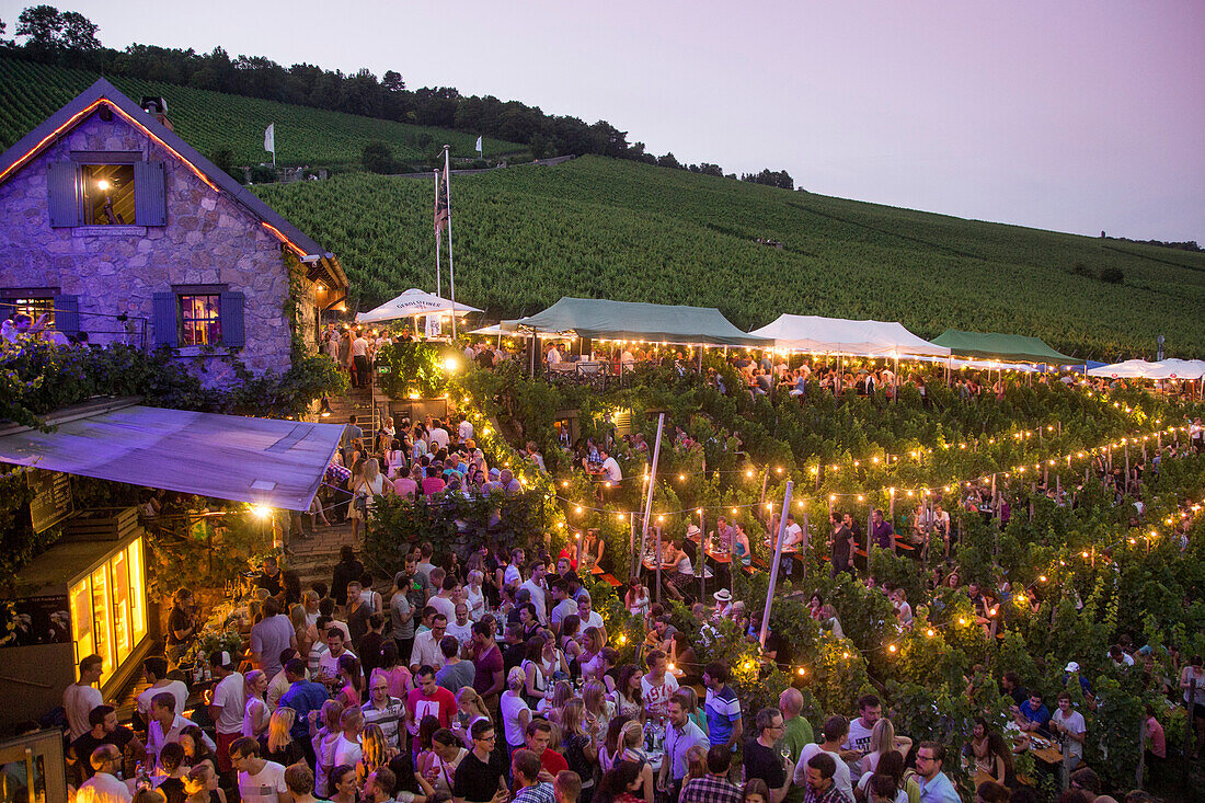 Weinfest an einem lauen Sommerabend: Menschen sitzen inmitten von Weinreben beim Hoffest im Weingut am Stein in der Dämmerung, Würzburg, Franken, Bayern, Deutschland