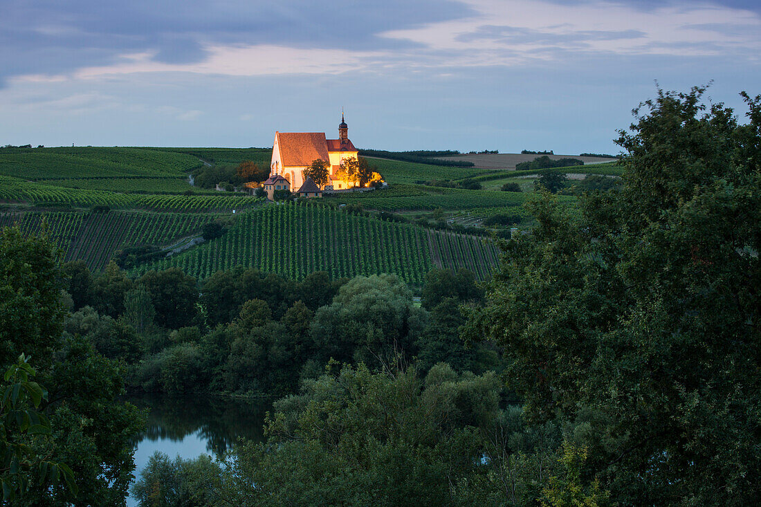 Weinberge und Wallfahrtskirche Maria im Weingarten in der Dämmerung, Volkach, Franken, Bayern, Deutschland