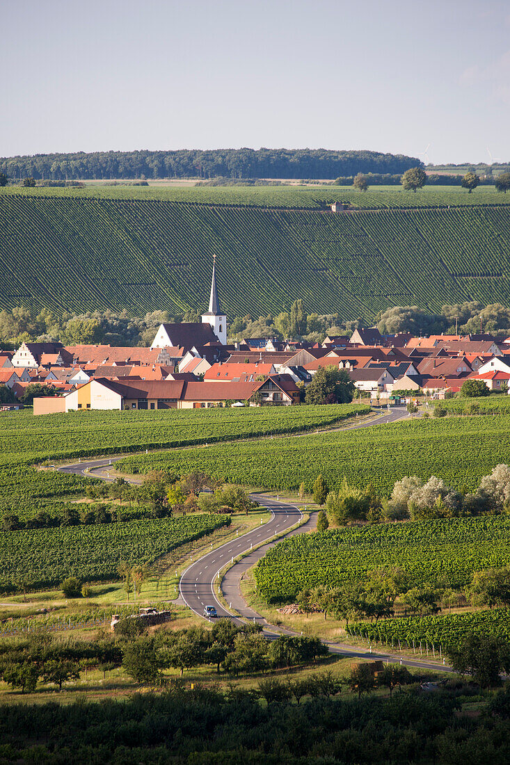 Straße durch Weinberge nach Nordheim am Main, Franken, Bayern, Deutschland