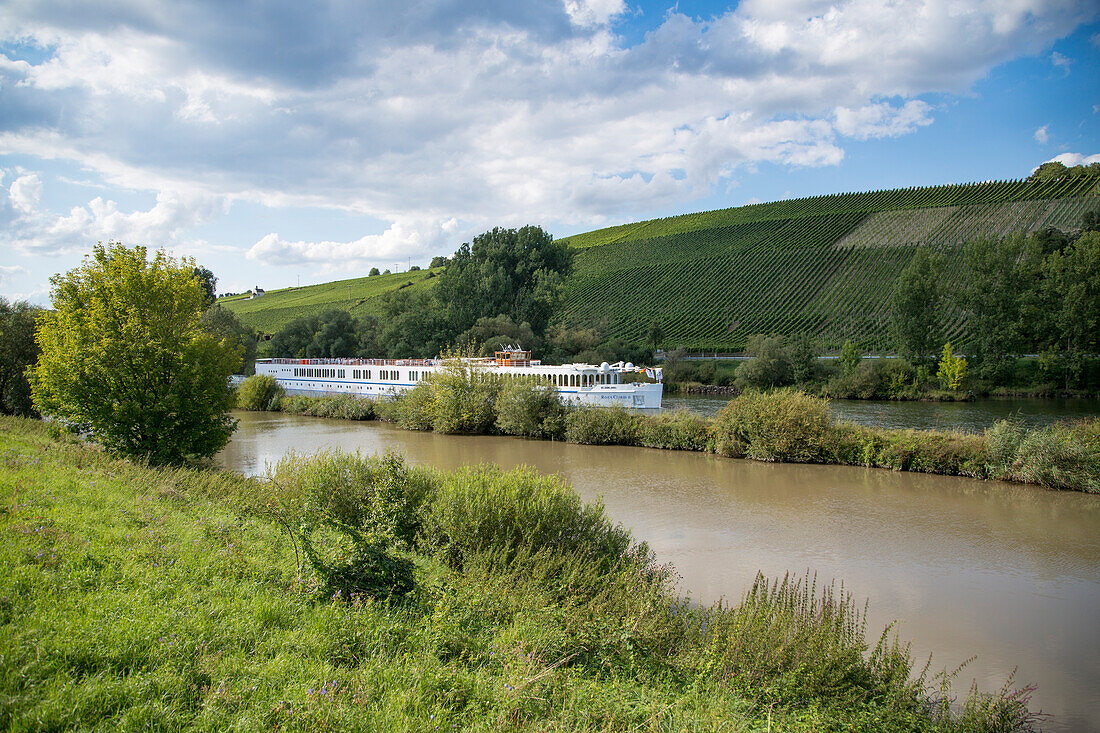 Flusskreuzfahrtschiff River Cloud II auf Fluss Main mit Weinberg Kapellenberg und Valentinuskapelle, Frickenhausen, nahe Ochsenfurt, Franken, Bayern, Deutschland