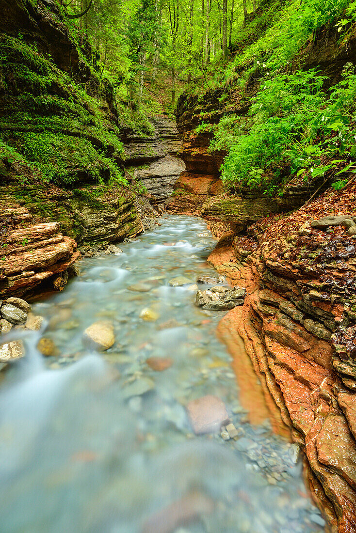 Stream flowing through red canyon, Salzkammergut, Salzburg, Austria