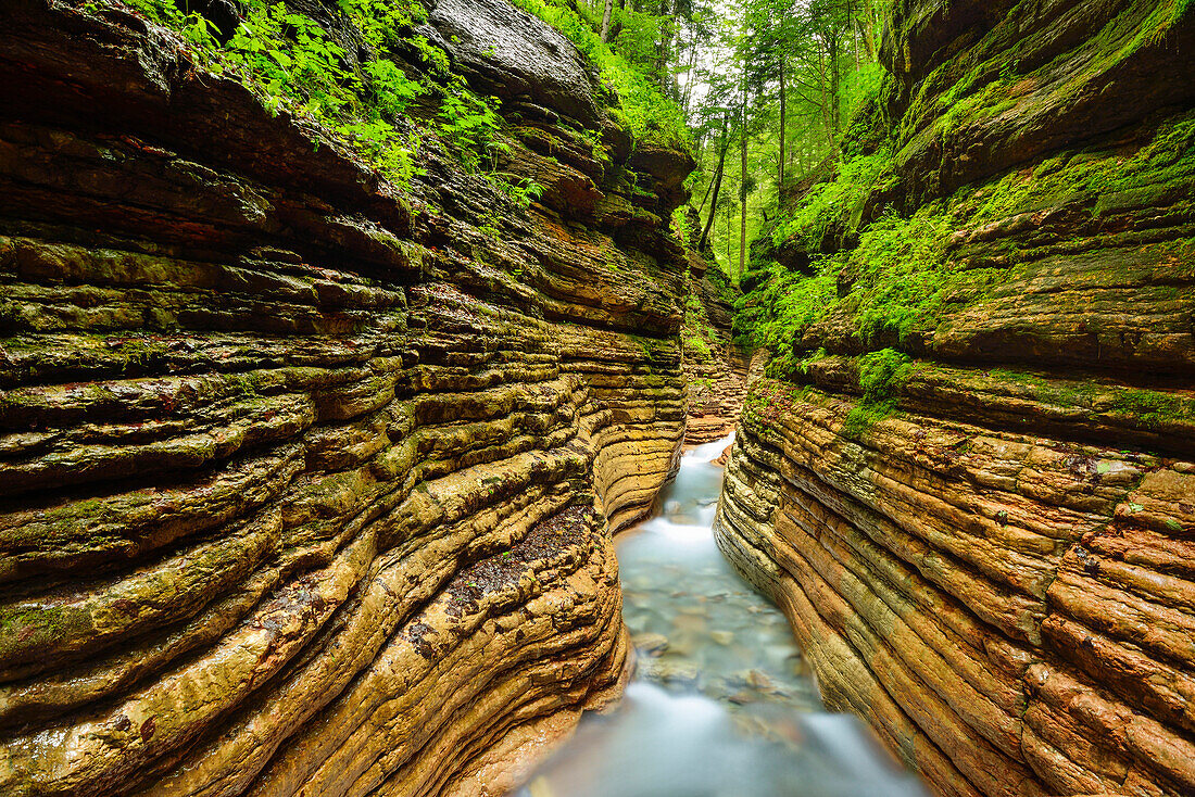 Bach fließt durch rote Klamm, Salzkammergut, Salzburg, Österreich