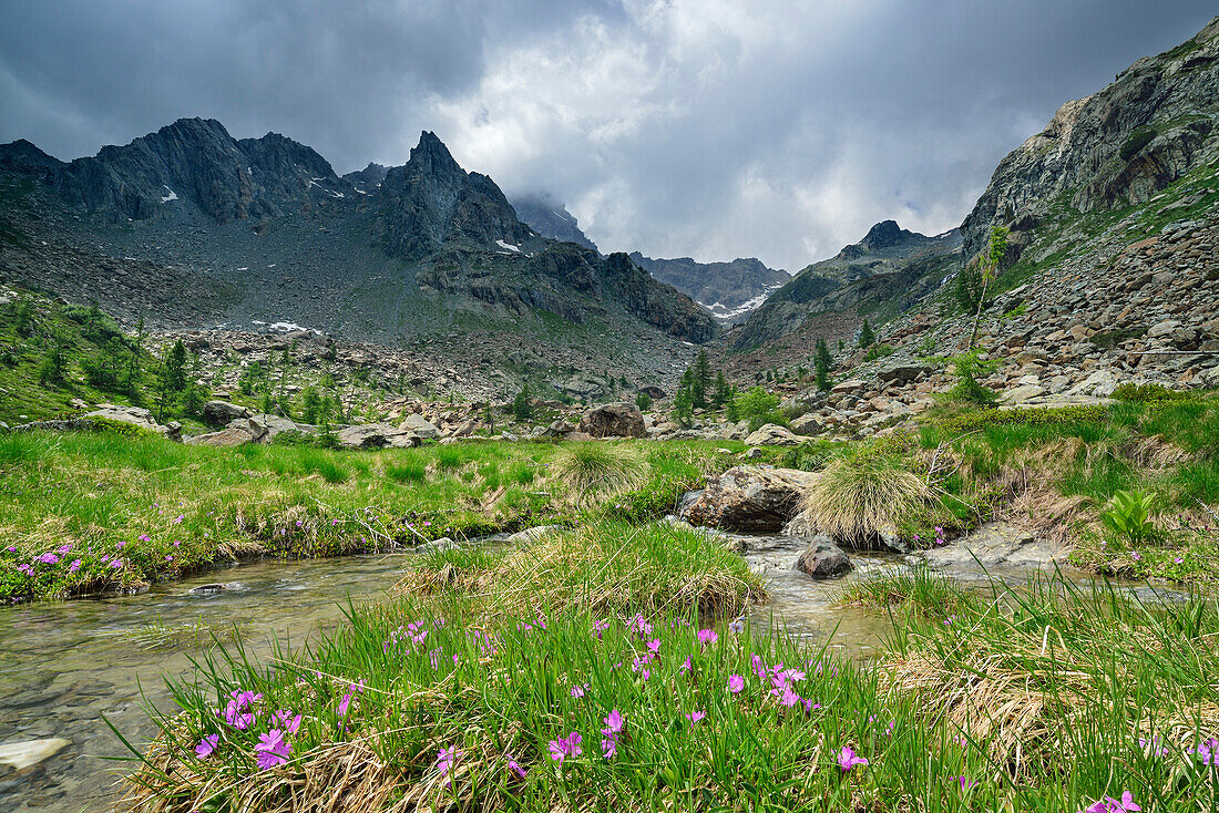 Stream flowing through Valle Airale, Sentiero Roma, Bergell range, Lombardy, Italy