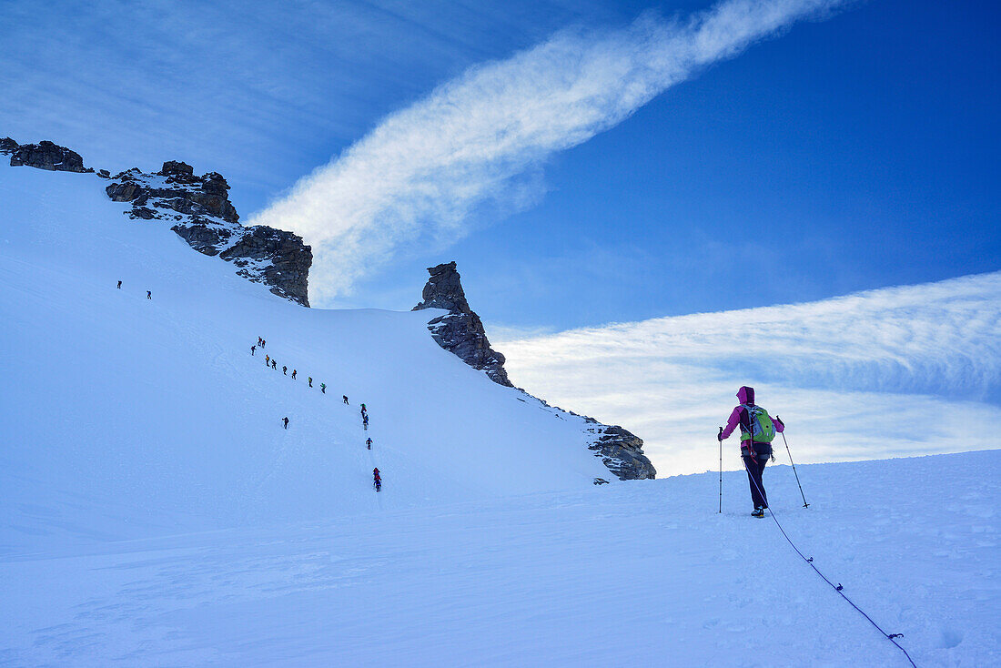 Mehrere Personen steigen angeseilt über Gletscher zum Gran Paradiso auf, Gran Paradiso, Nationalpark Gran Paradiso, Grajische Alpen, Aostatal, Aosta, Italien