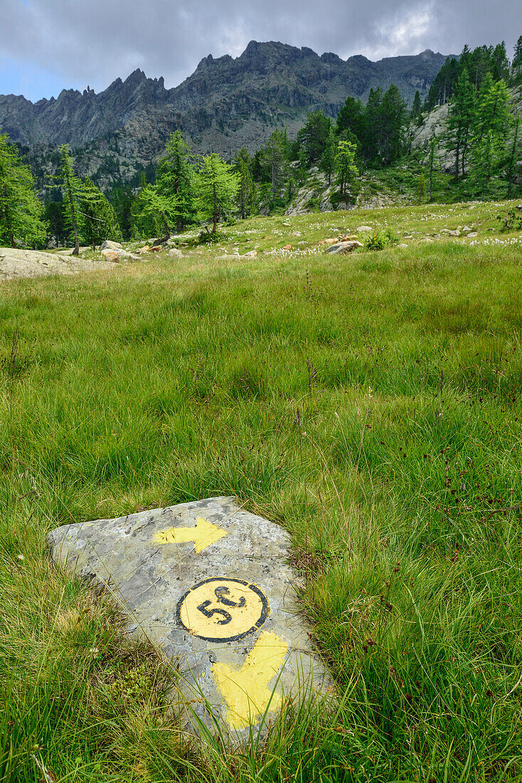 Wegmarkierung auf Stein, Naturpark Mont Avic, Grajische Alpen, Aostatal, Aosta, Italien
