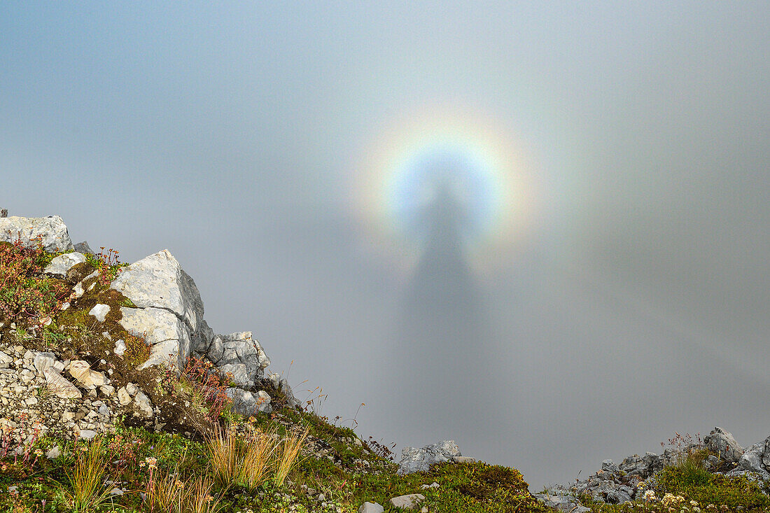 Optical phenomenon of Brocken Specter, Latemar range, Dolomites, UNESCO world heritage Dolomites, Trentino, Italy