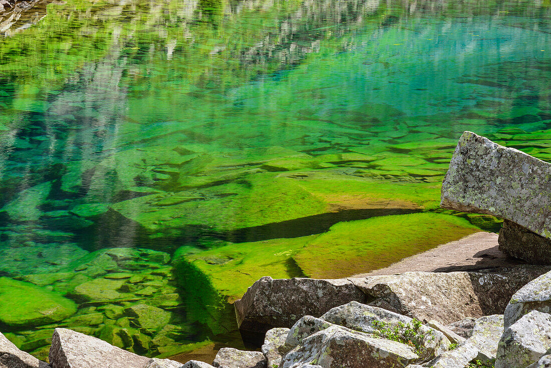 Blue-green mountain lake, lake Lago Caserina, Lagorai range, Dolomites, UNESCO world heritage Dolomites, Trentino, Italy