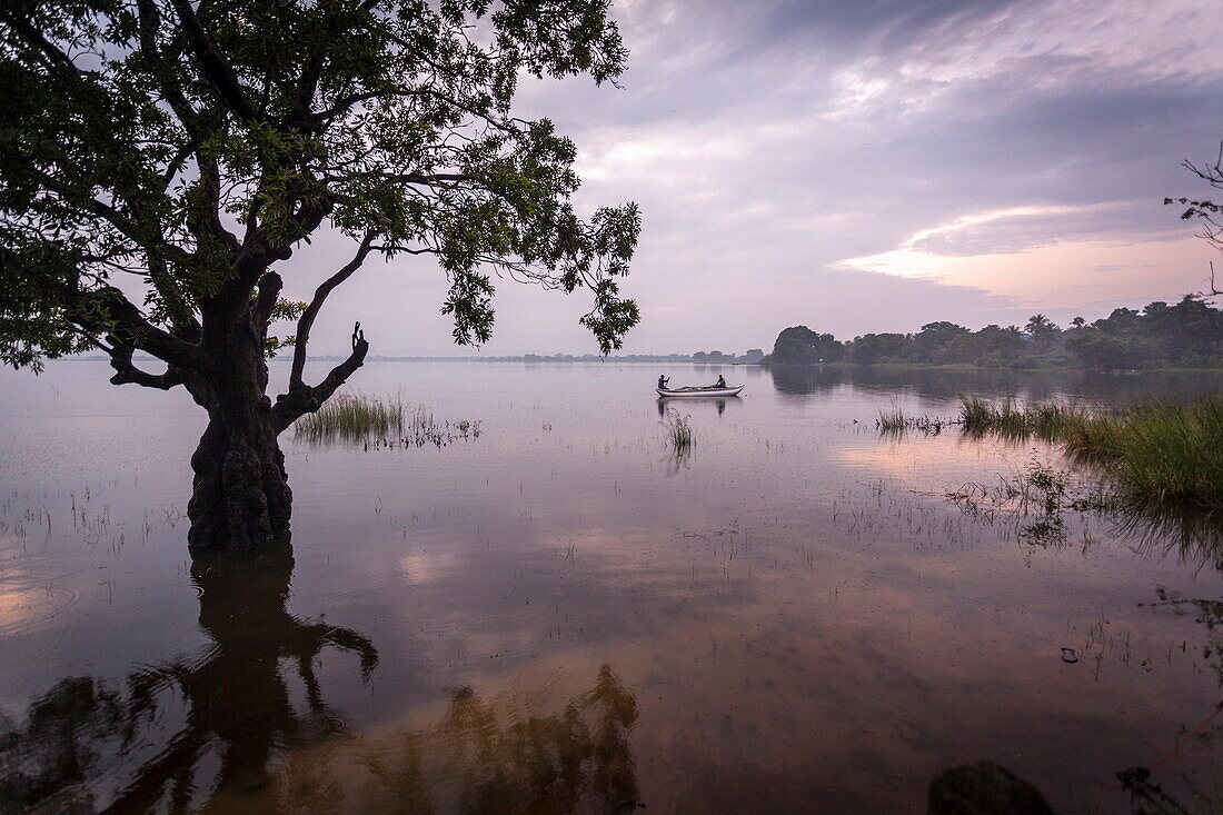 Fishermen return at dusk, Polonnaruwa Lake, Polonnaruwa, Sri Lanka, Asia