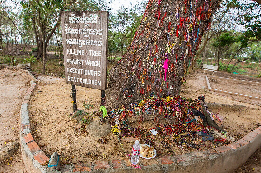 Killing Tree at the Killing Fields of Choueng Ek, child victims under the Khmer Rouge, Phnom Penh, Cambodia, Indochina, Southeast Asia, Asia