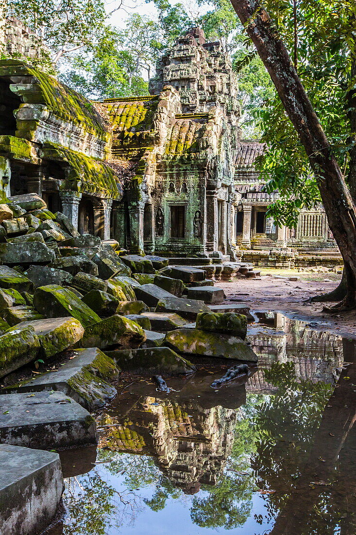 Reflections at Ta Prohm Temple (Rajavihara), Angkor, UNESCO World Heritage Site, Siem Reap Province, Cambodia, Indochina, Southeast Asia, Asia