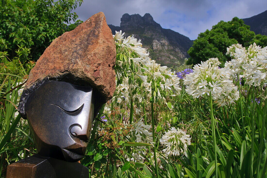 Statue with agapanthus and Table Mountain behind, Kirstenbosch National Botanical Garden, Cape Town, South Africa, Africa