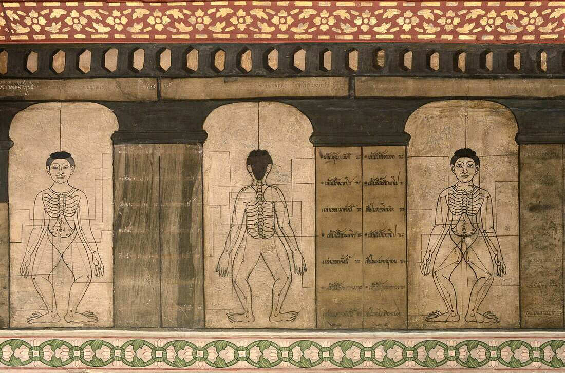 Detail of murals dating from the early 19th century showing massage pressure points and meridians, Wat Pho (Wat Phra Chetuphon), Bangkok, Thailand, Southeast Asia, Asia