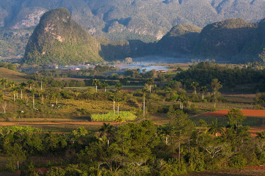 Vinales Valley, UNESCO World Heritage Site, bathed in early morning sunlight, Vinales, Pinar Del Rio Province, Cuba, West Indies, Central America