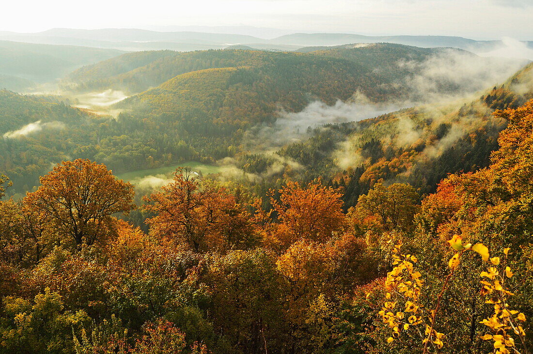Early morning view from Wegelnburg castle of the Palatinate Forest, Rhineland-Palatinate, Germany, Europe