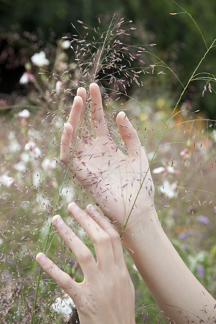 Hands touching delicate wildflower spray