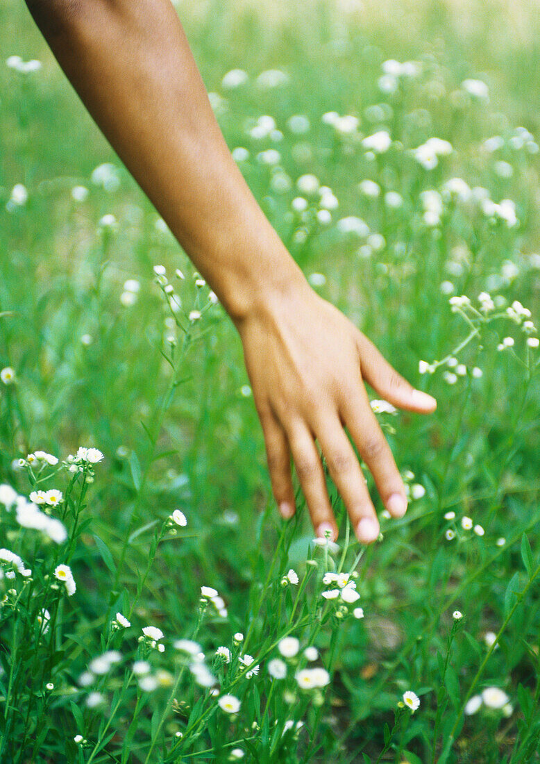 Hand touching grass