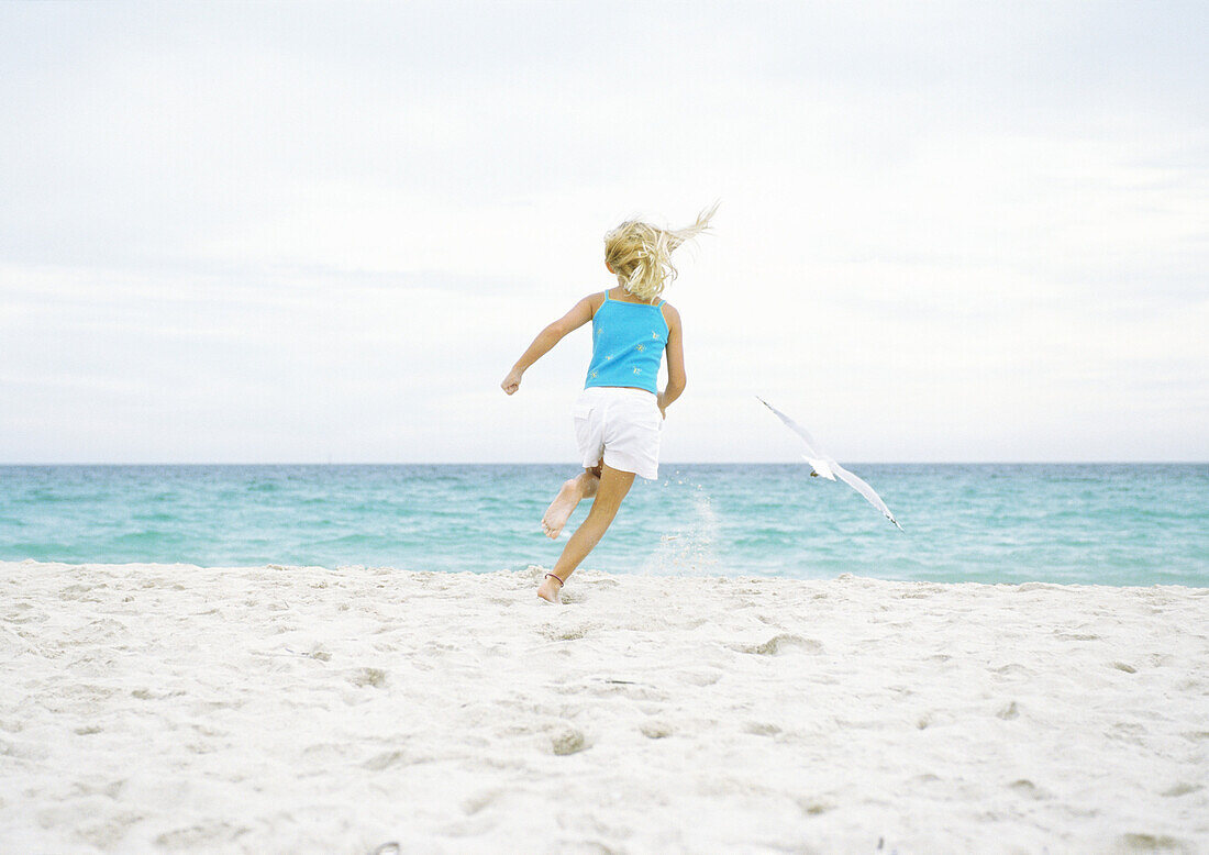 Girl running after seagull on beach