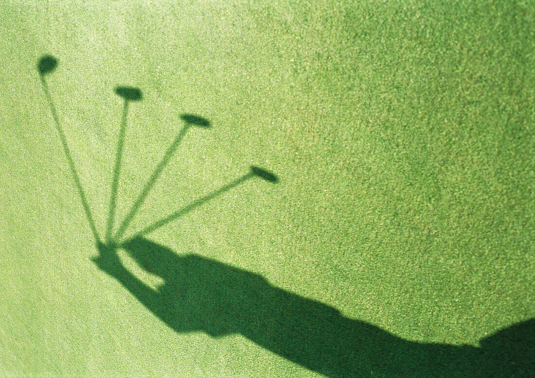 Shadow of golfer swinging, motion study