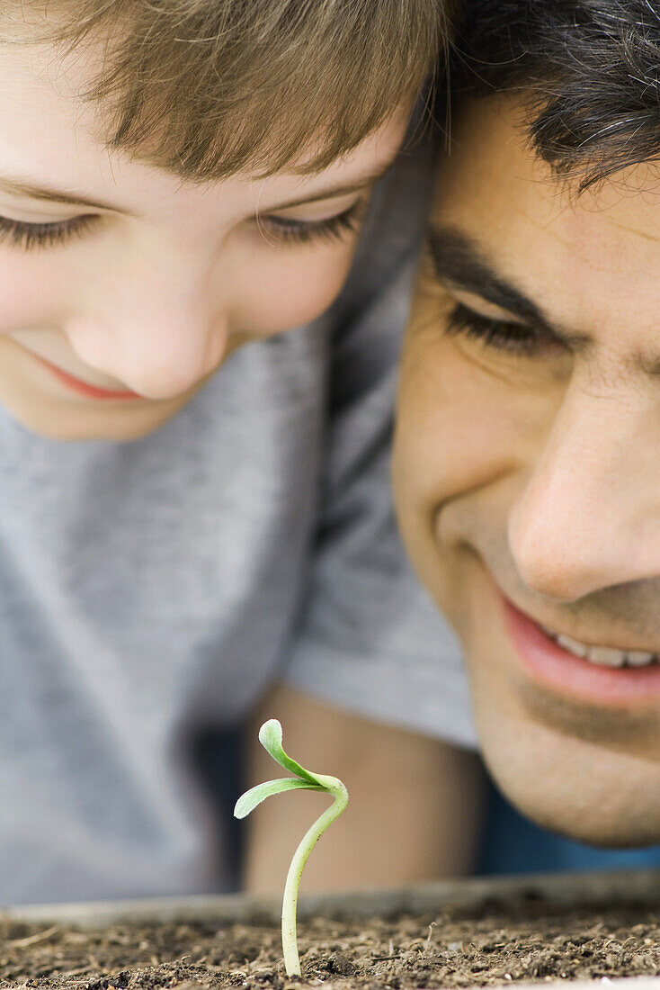 Father and son looking at plant seedling together, close-up