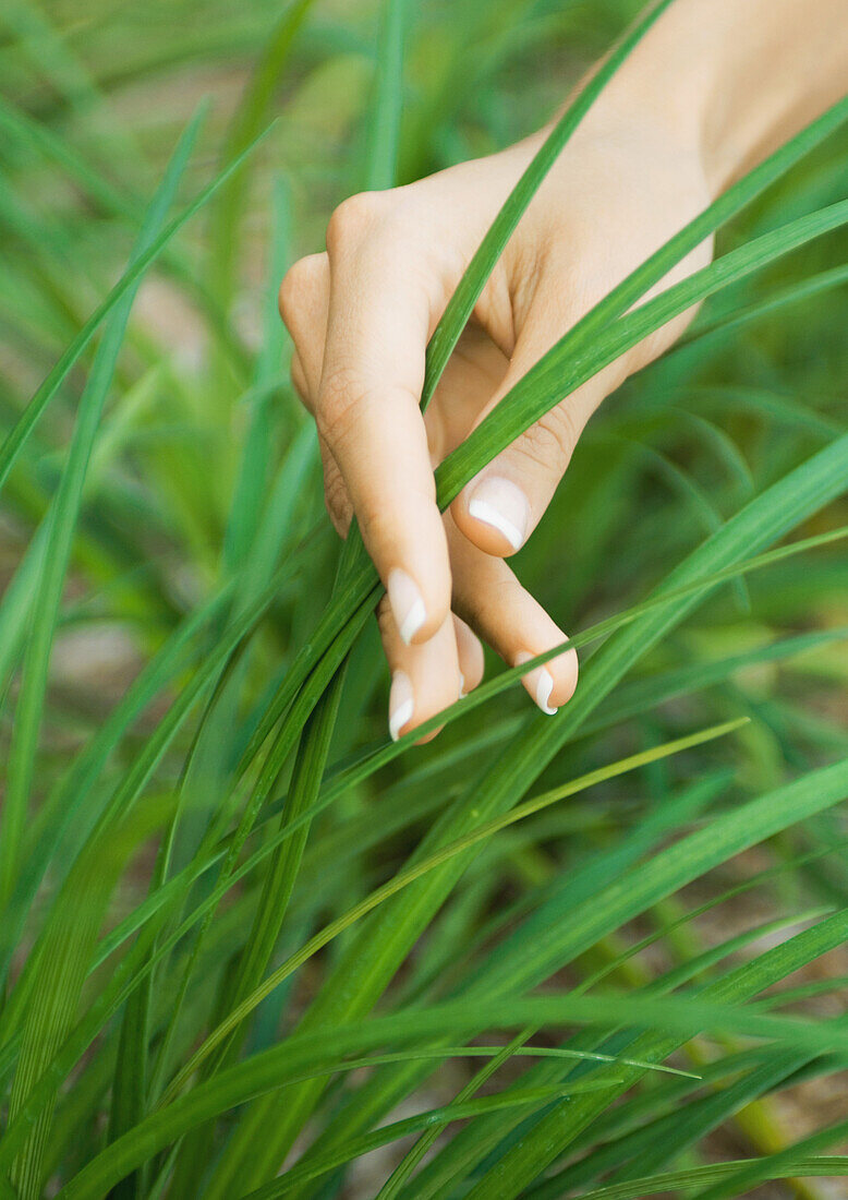 Woman's hand touching blades of grass