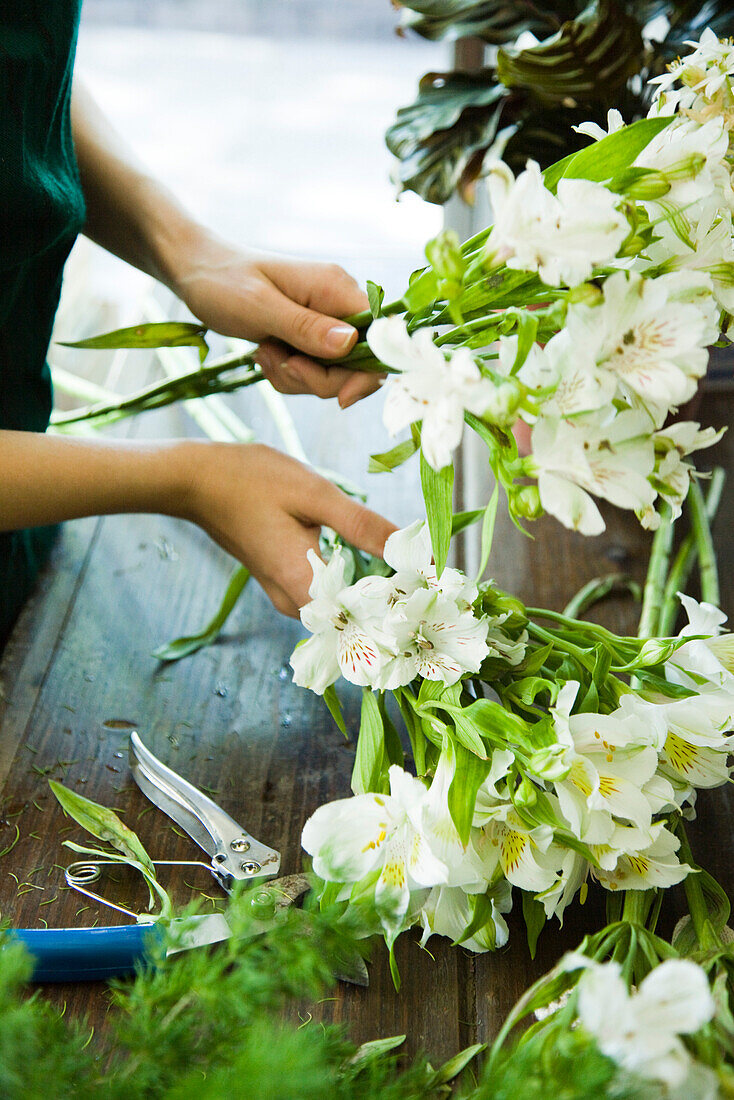 Arrangieren von Blumen