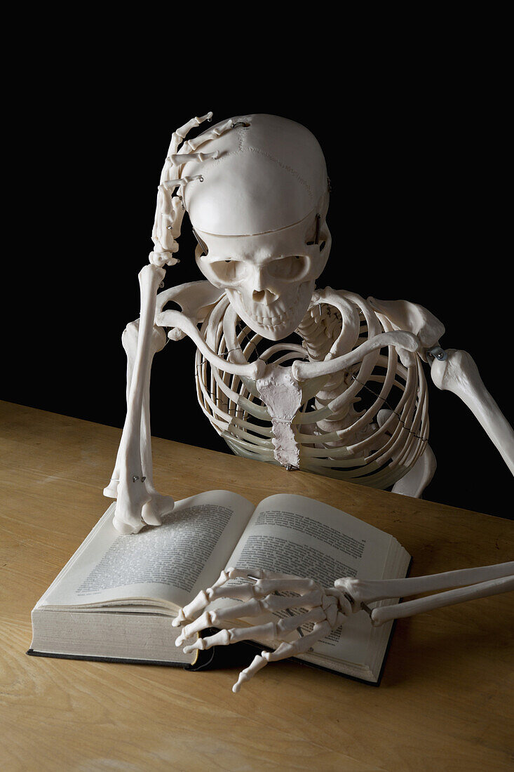 A skeleton reading a book