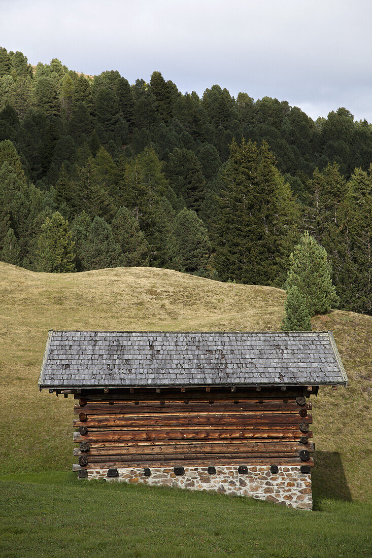 A cabin in a field