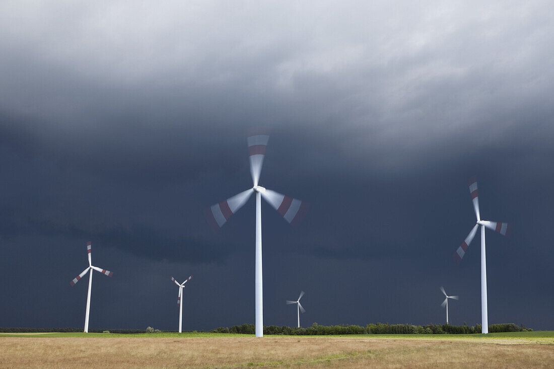 Wind turbines spinning in a field