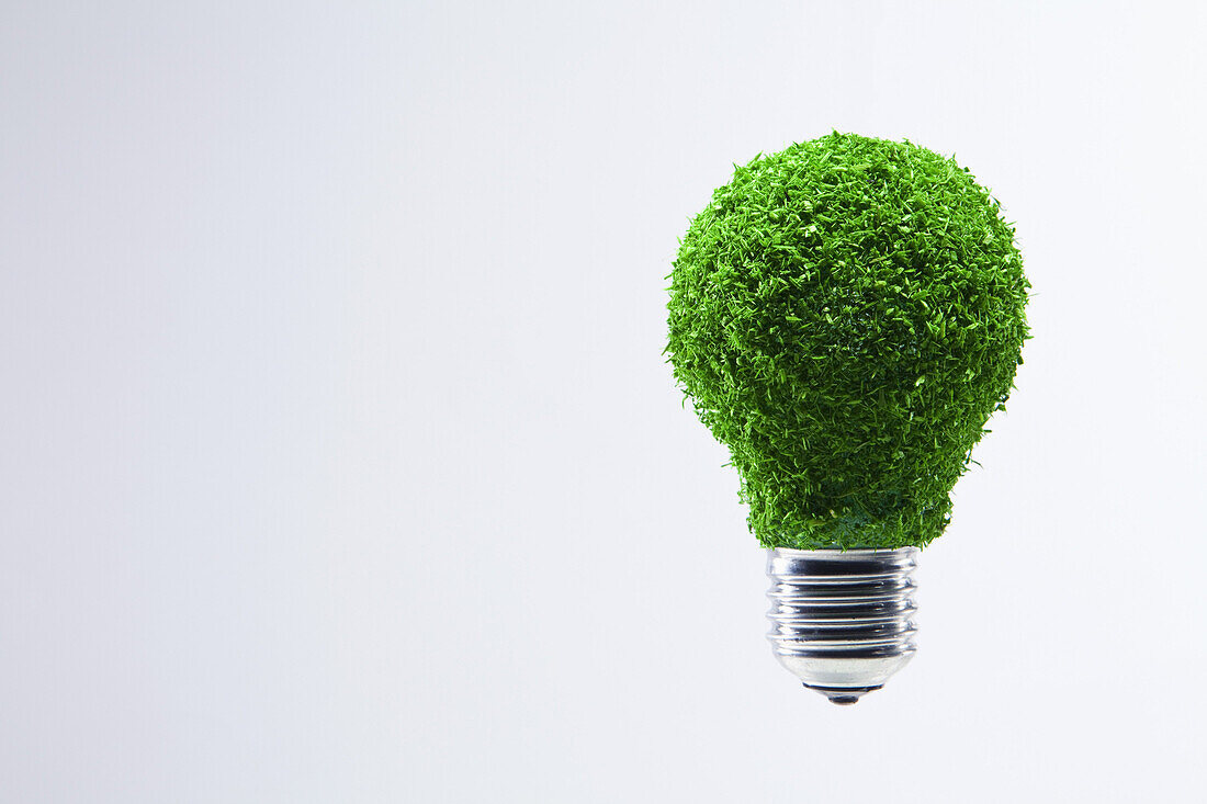 Energy saving light bulb covered in green grass
