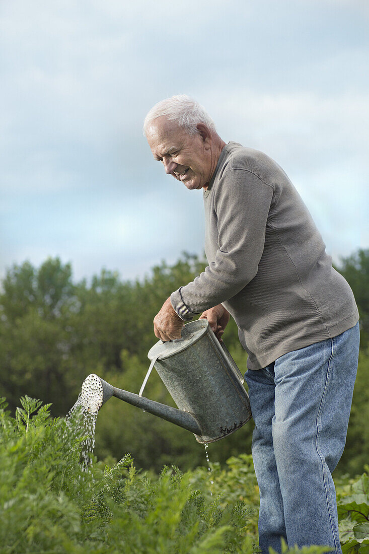 A senior man watering plants in his garden