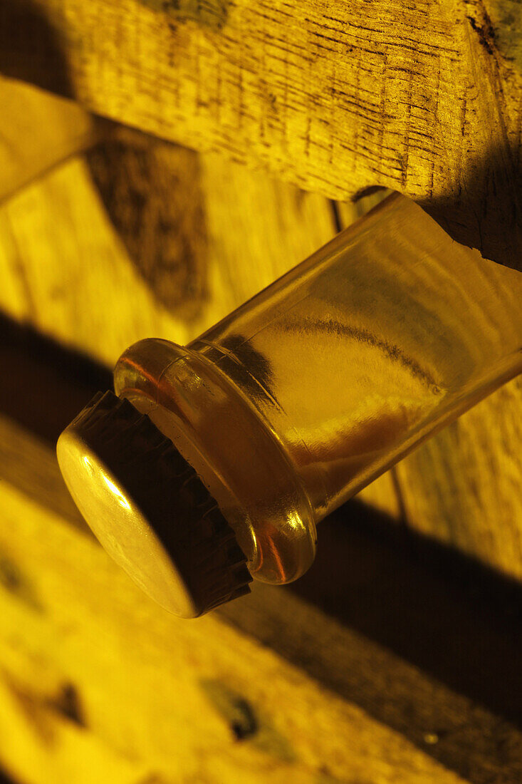 Sediment in champagne bottle in cellar