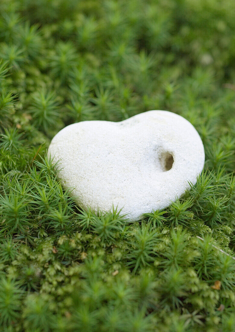 Pebble with hole on moss, extreme close-up