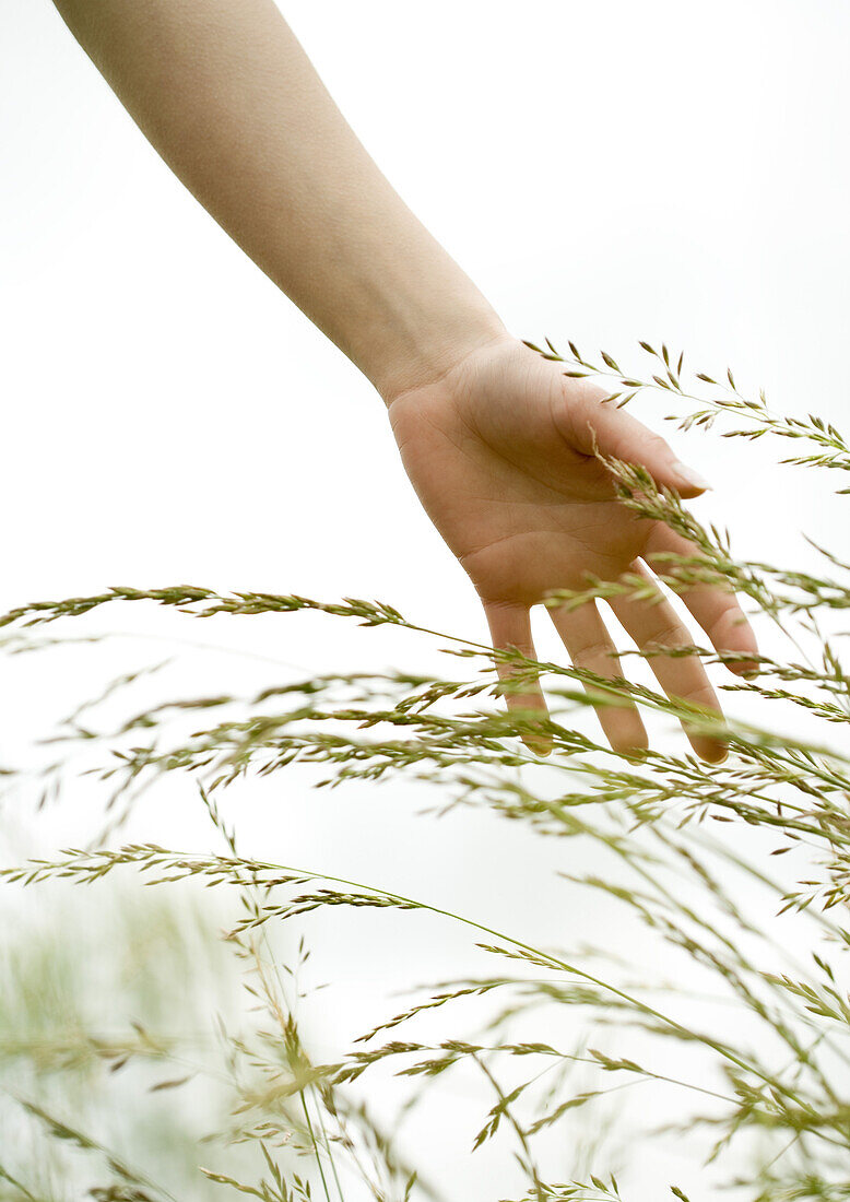 Woman's hand touching grass