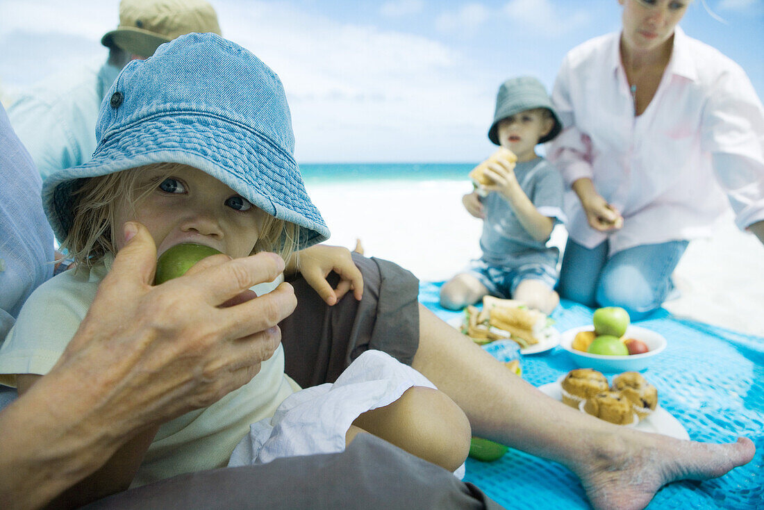 Family having picnic on beach
