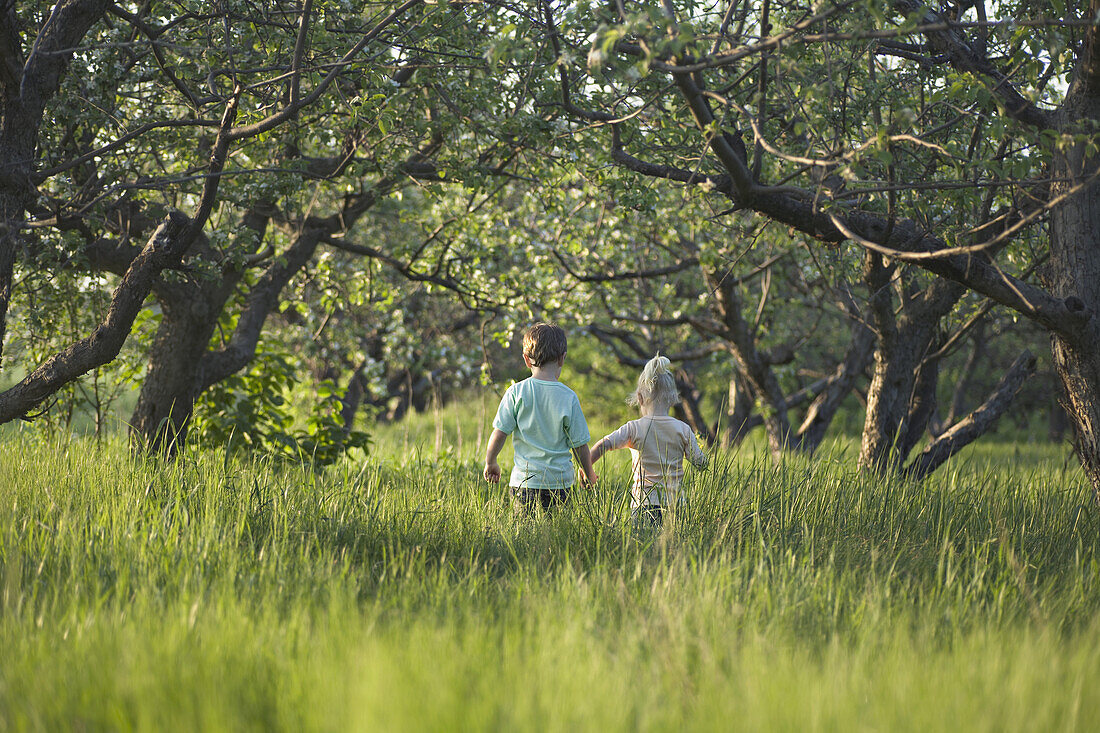 A brother and sister walking hand in hand through a meadow