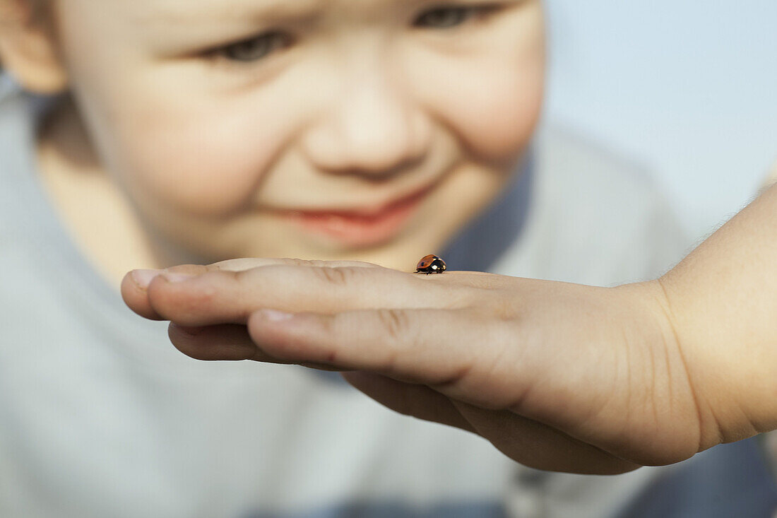 A girl looking at a ladybug on the hand of a person