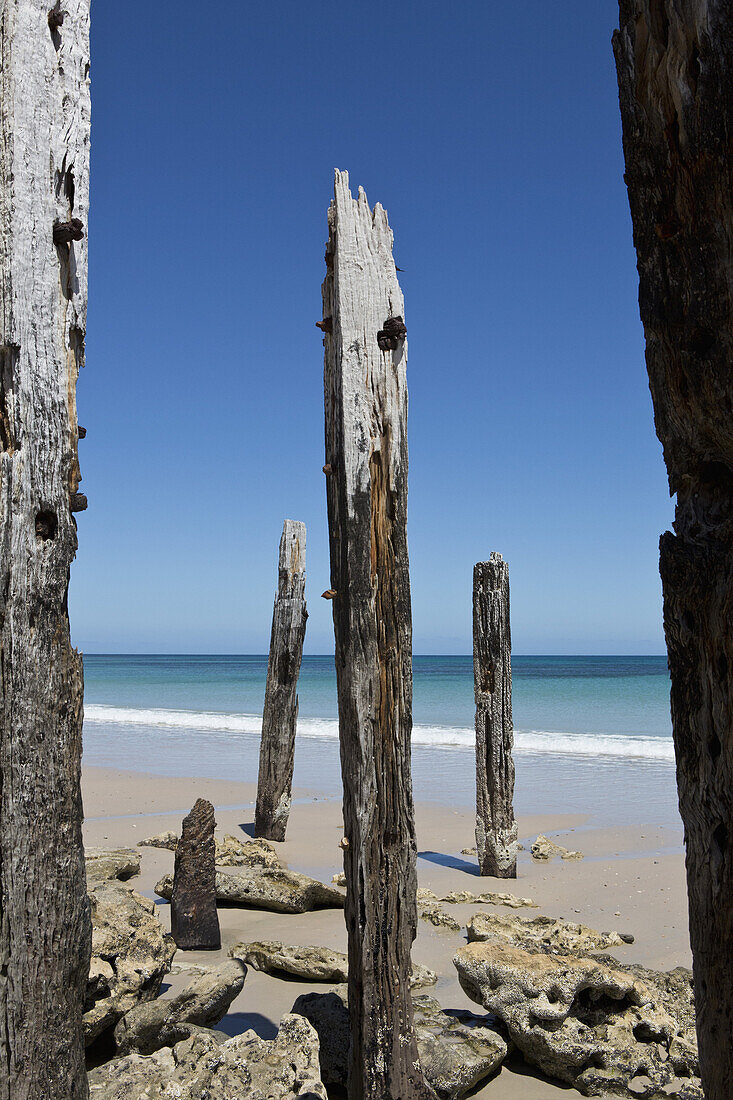 Wooden poles at beach against clear sky