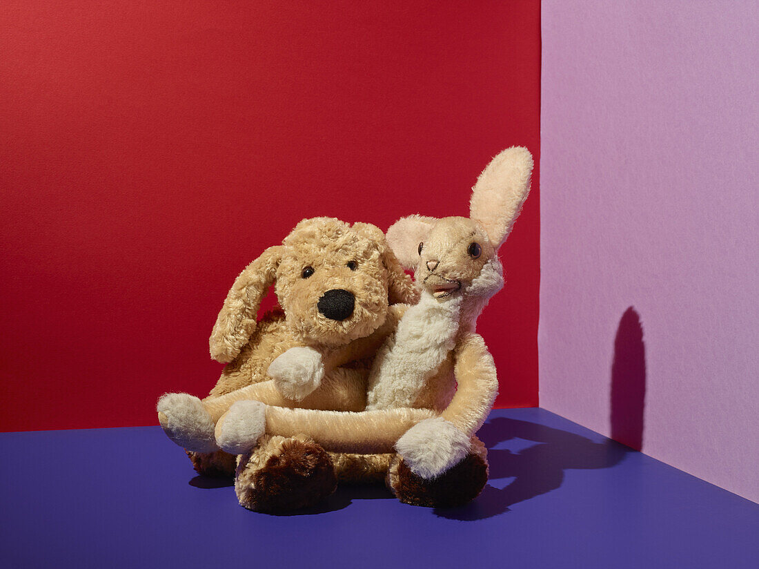 Teddy bears on floor in colorful room