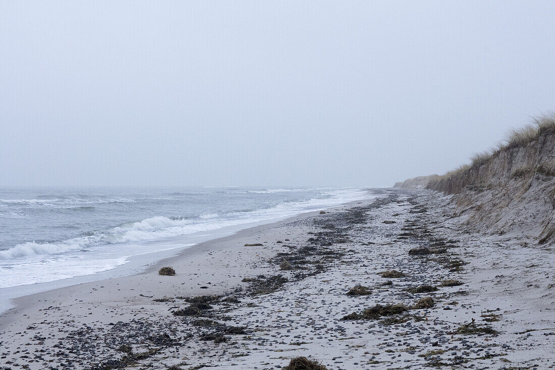 Tranquil view of Baltic Sea against overcast sky, Prerow, Germany