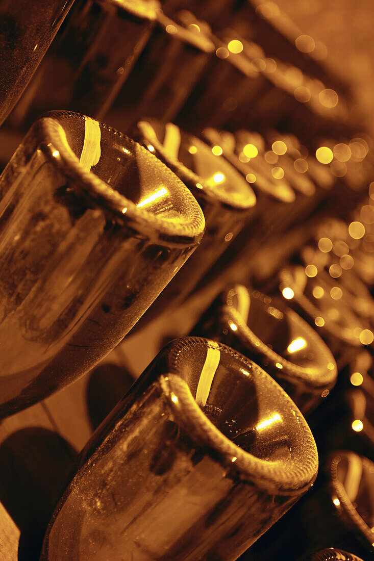 Detail of bottles of champagne in a rack