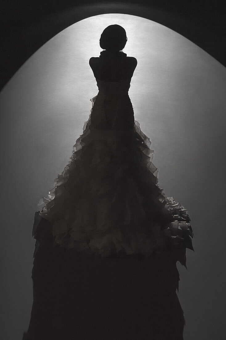 Rear view of spot lit bride standing against black background