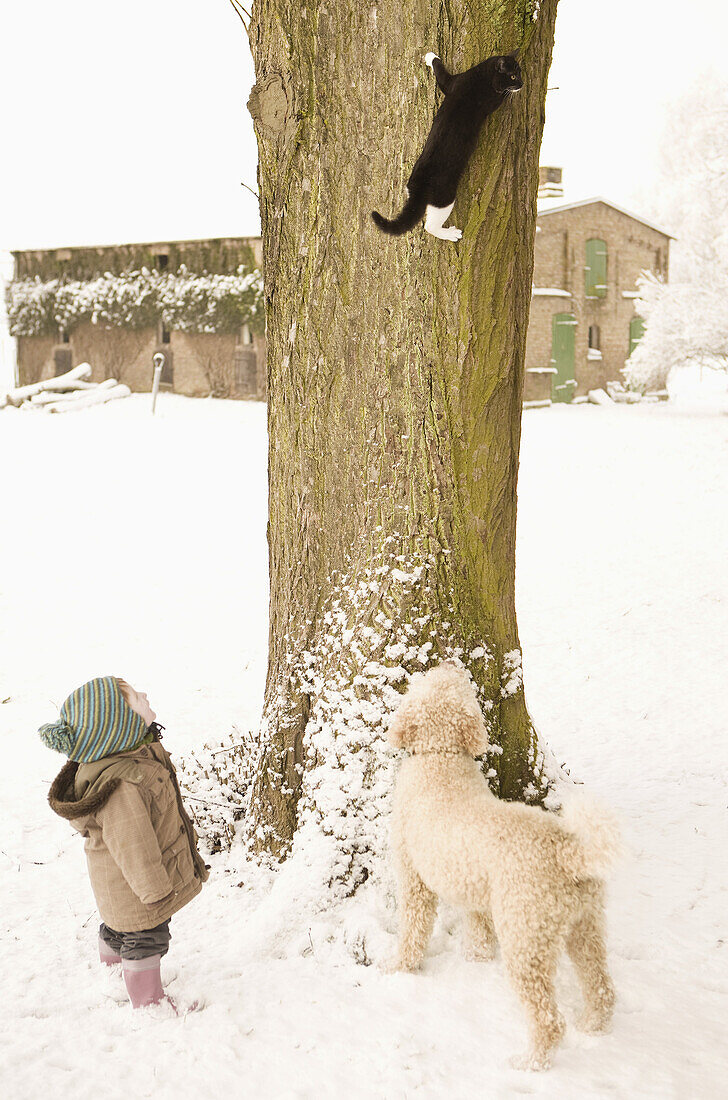 Cat climbing on tree, baby girl and Portuguese Water Dog watching