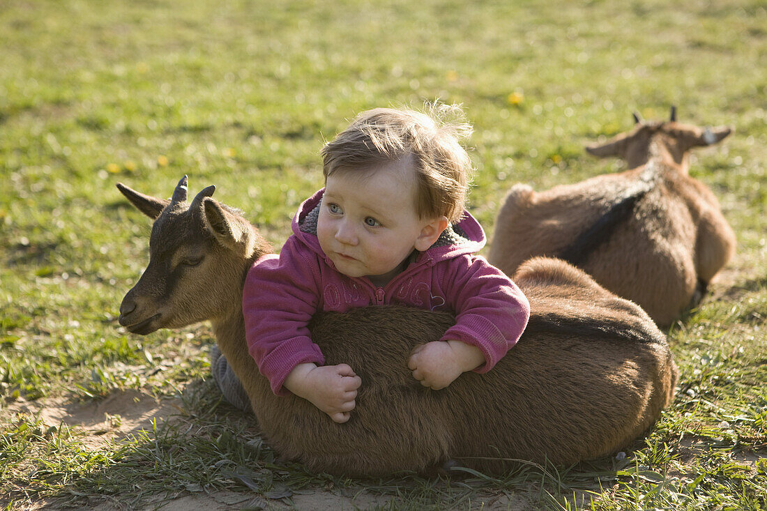 Baby girl lying on goat kid