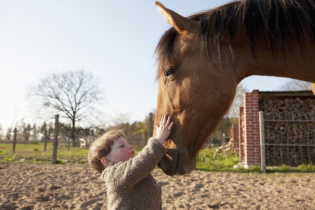 Baby girl stroking horse